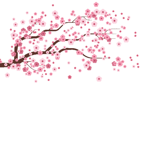 Sakura Branch